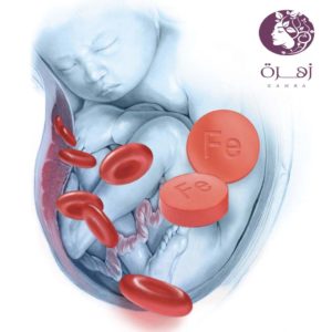 علاج فقر الدم أثناء فترة الحمل