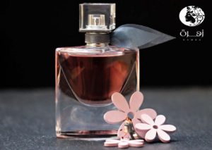 أنواع العطور | أشهر 7 أنواع