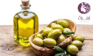 أفضل أنواع الزيتون في العالم