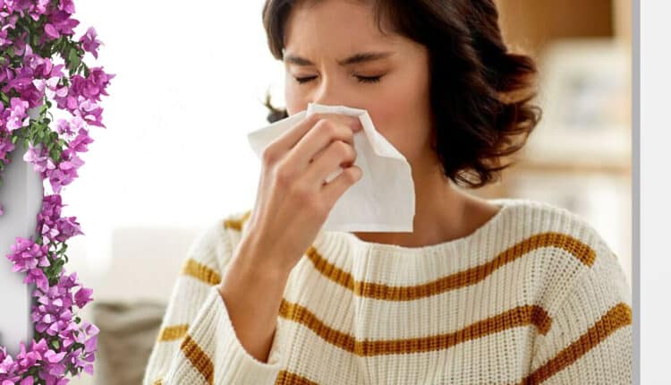 أهم 3 معلومات حول حساسية الأنف